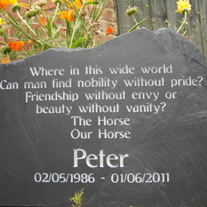 Horse Memorial